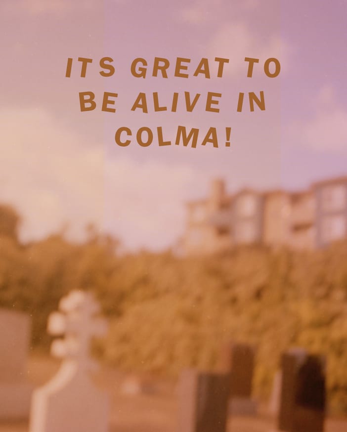 grey zine cover with black typewritten drugs and dosages on either side of a black line art of a juniper tree and the words 'THE JUNIPER TREE' in crimson red