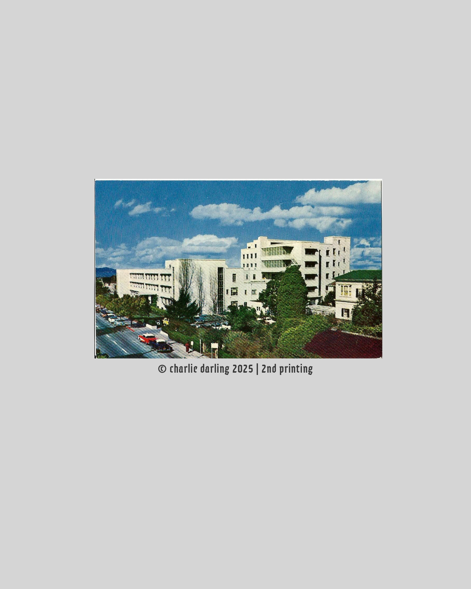 grey zine cover with black typewritten drugs and dosages on either side of a black line art of a juniper tree and the words 'THE JUNIPER TREE' in crimson red